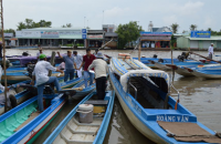 NGỌC HIỂN: CÒN NHIỀU PHƯƠNG TIỆN CHƯA ĐƯỢC ĐĂNG KÝ, ĐĂNG KIỂM