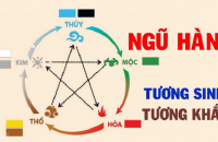 THỰC HƯ VỀ THUYẾT NGŨ HÀNH VÀ CÁCH CHỌN MÀU XE THEO MỆNH