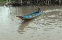 NGUY HIỂM TRẺ CHƯA ĐỦ TUỔI LÁI PHƯƠNG TIỆN