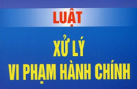 HỎI – ĐÁP 13-9